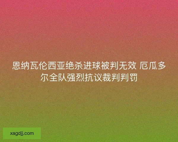 恩纳瓦伦西亚绝杀进球被判无效 厄瓜多尔全队强烈抗议裁判判罚