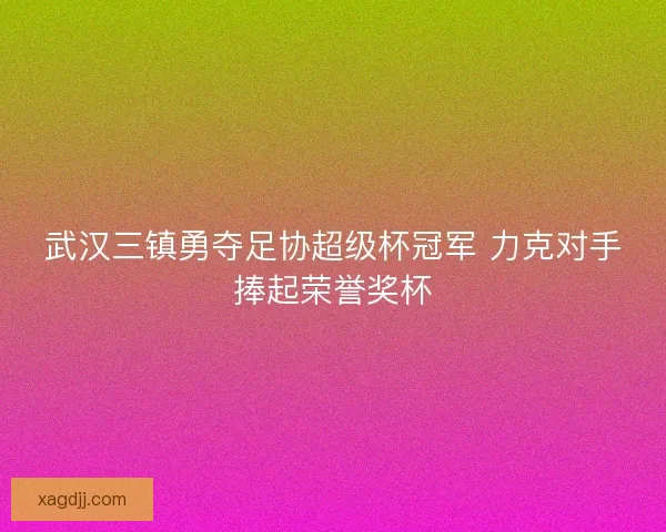 武汉三镇勇夺足协超级杯冠军 力克对手捧起荣誉奖杯