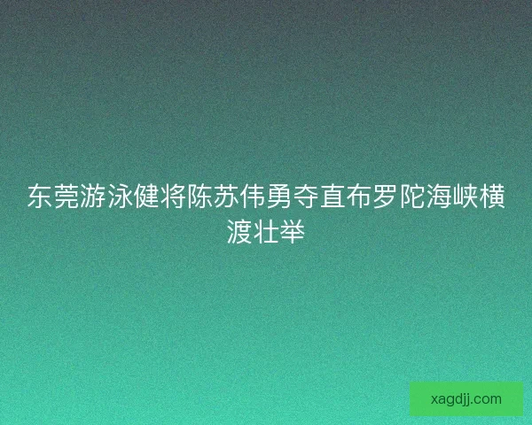 东莞游泳健将陈苏伟勇夺直布罗陀海峡横渡壮举