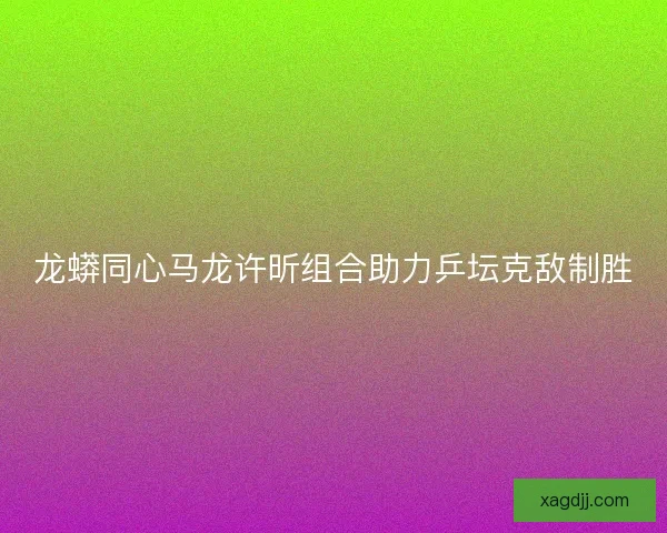 龙蟒同心马龙许昕组合助力乒坛克敌制胜
