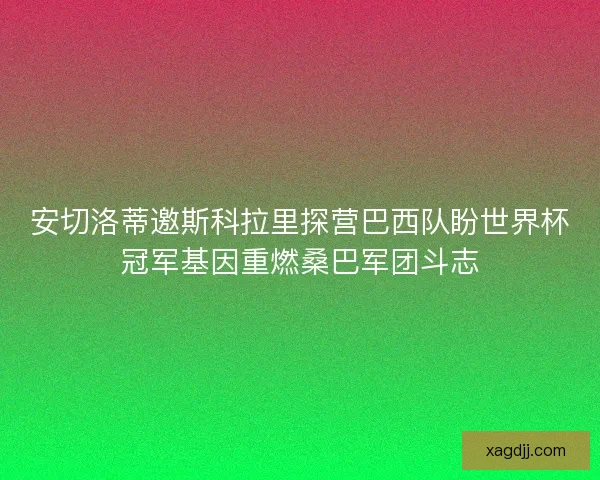 安切洛蒂邀斯科拉里探营巴西队盼世界杯冠军基因重燃桑巴军团斗志