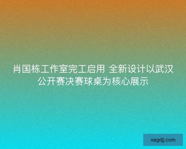 肖国栋工作室完工启用 全新设计以武汉公开赛决赛球桌为核心展示